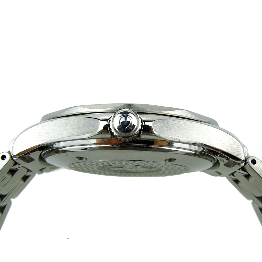 Omega Seamaster Professional Automatic 2531.80.00