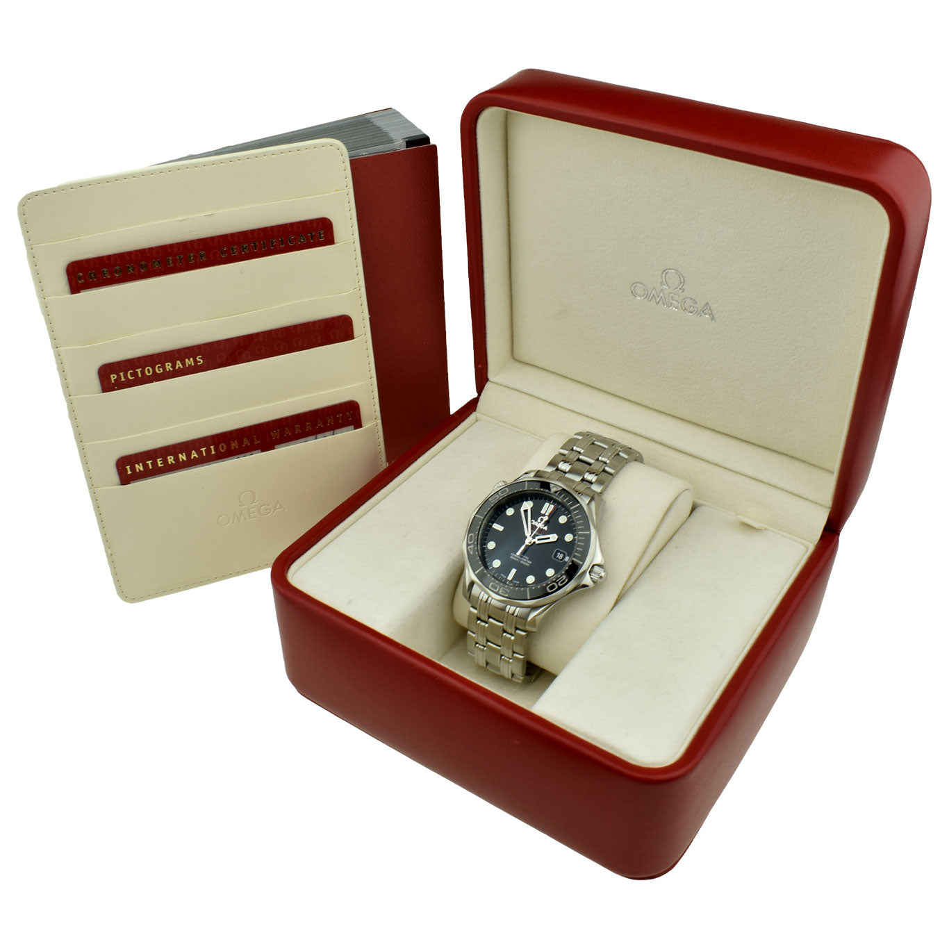 Omega Seamaster Professional 300m 212.30.41.20.01.003