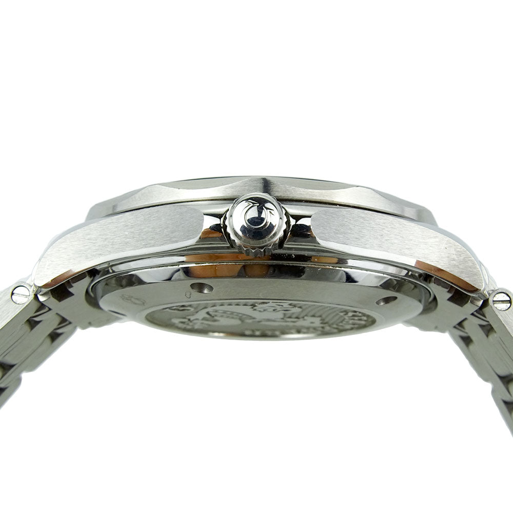 Omega Seamaster Professional 212.30.41.20.01.003