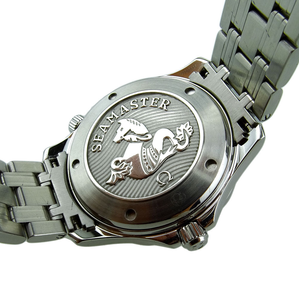 Omega Seamaster Professional 212.30.41.20.01.003