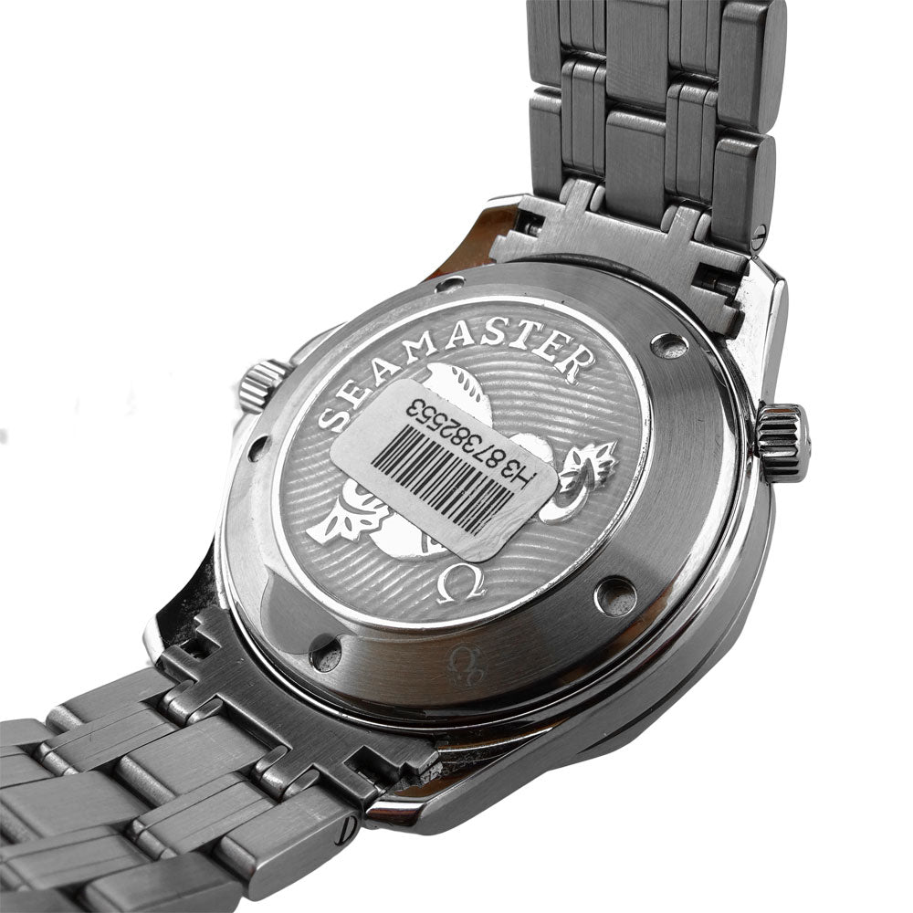 Omega Seamaster Professional 212.30.41.20.01.003