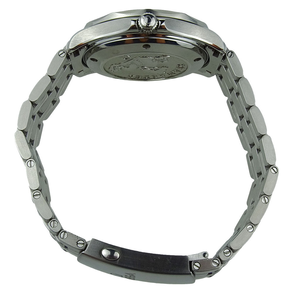 Omega Seamaster Professional 212.30.41.20.03.001