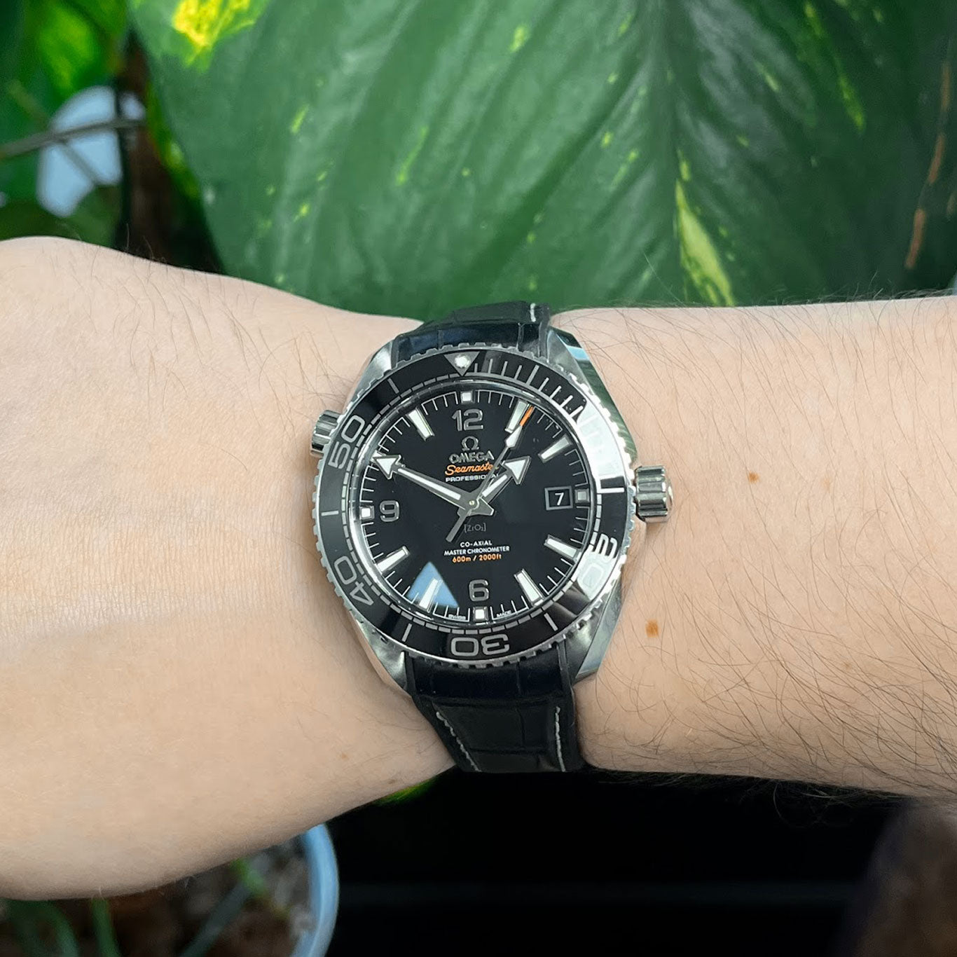 Omega Seamaster Planet Ocean 215.33.44.21.01.001