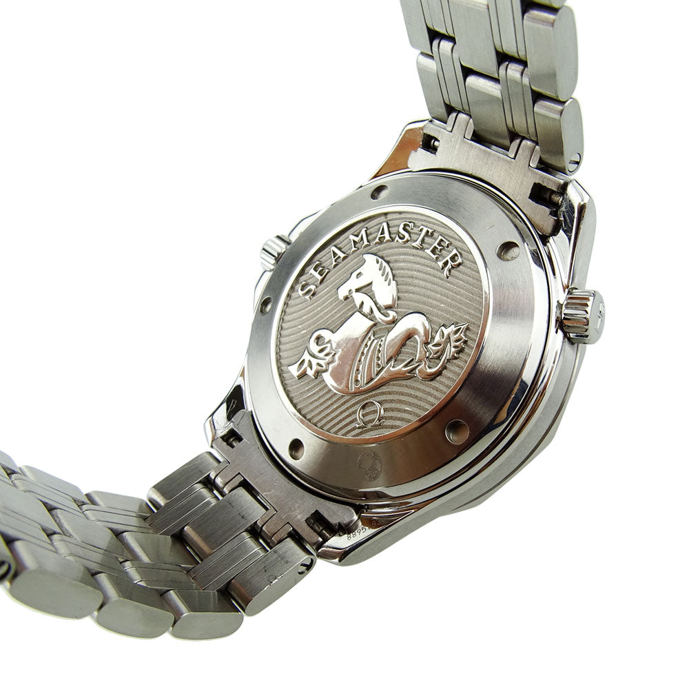 Omega Seamaster Professional 212.30.41.20.03.001