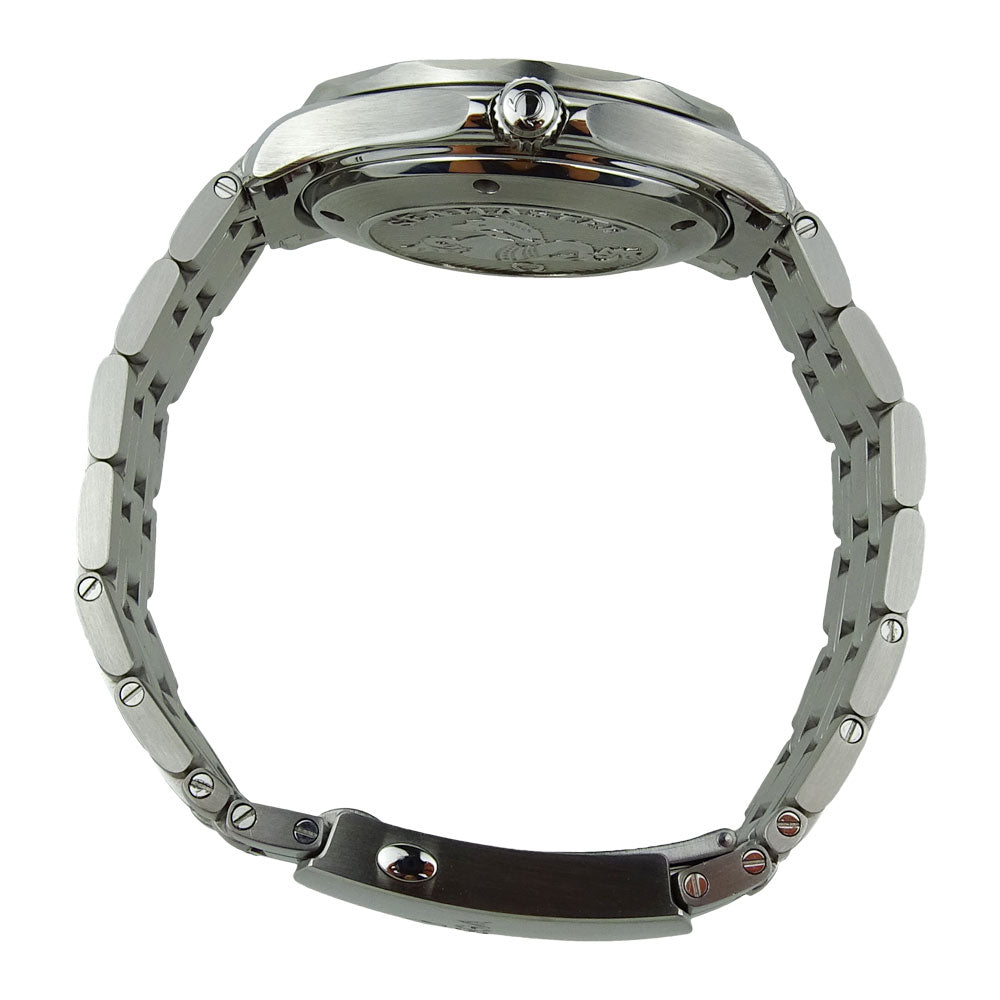 Omega Seamaster Professional 212.30.41.20.01.003