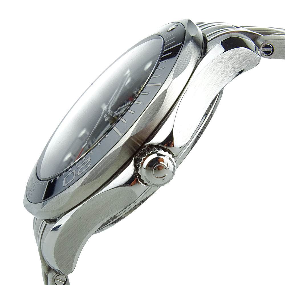 Omega Seamaster Professional 212.30.41.20.01.003
