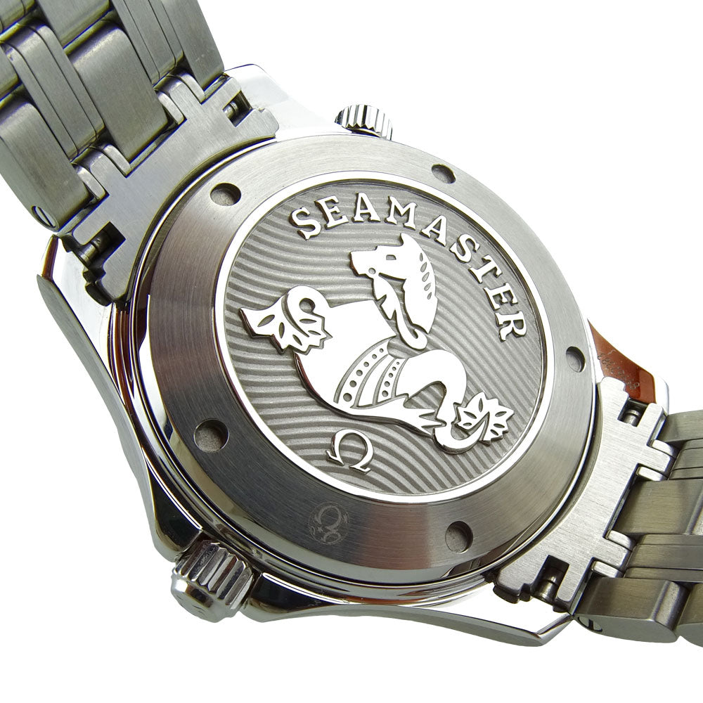 Omega Seamaster Professional 212.30.41.20.01.003