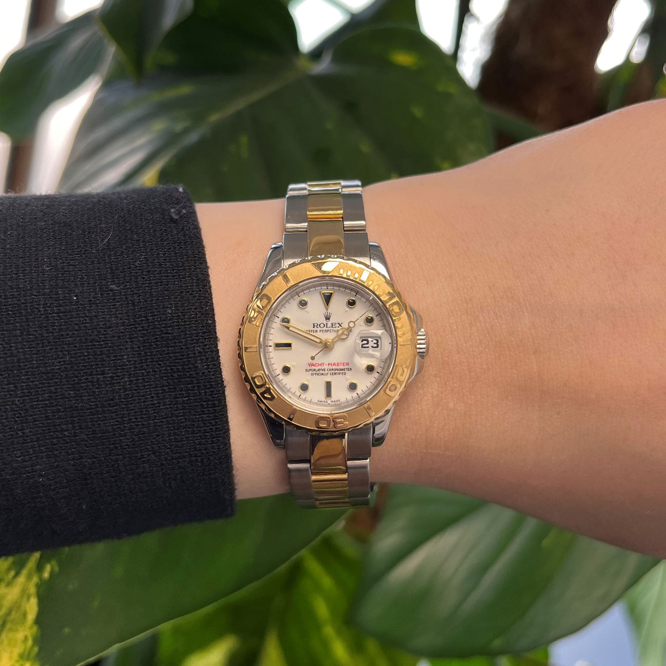 Rolex Lady Yacht-Master Stainless Steel & Gold 169623