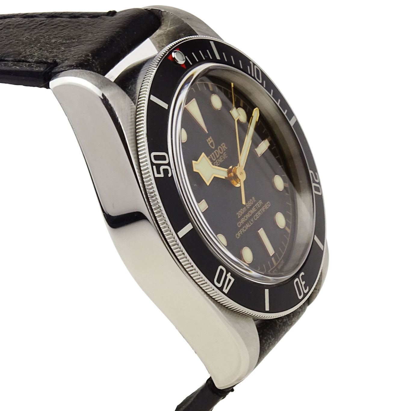 Tudor Heritage Black Bay 79230N