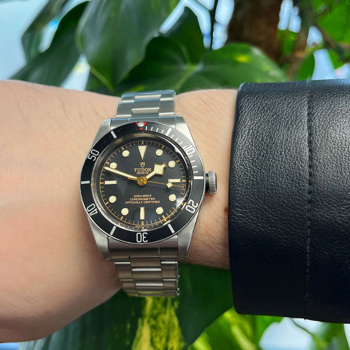 Tudor Heritage Black Bay 79230N