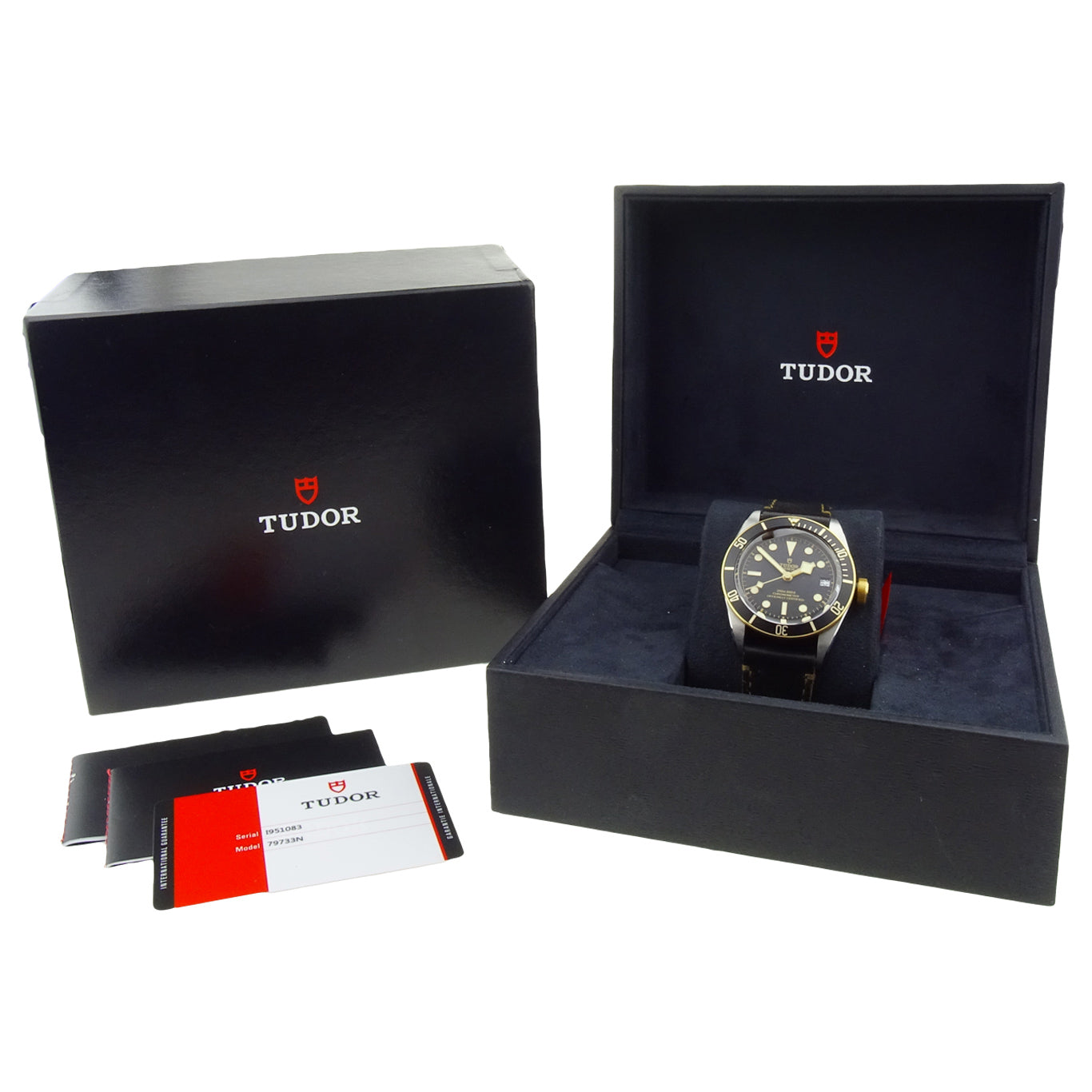 Tudor Black Bay Heritage Steel & Gold 79733N