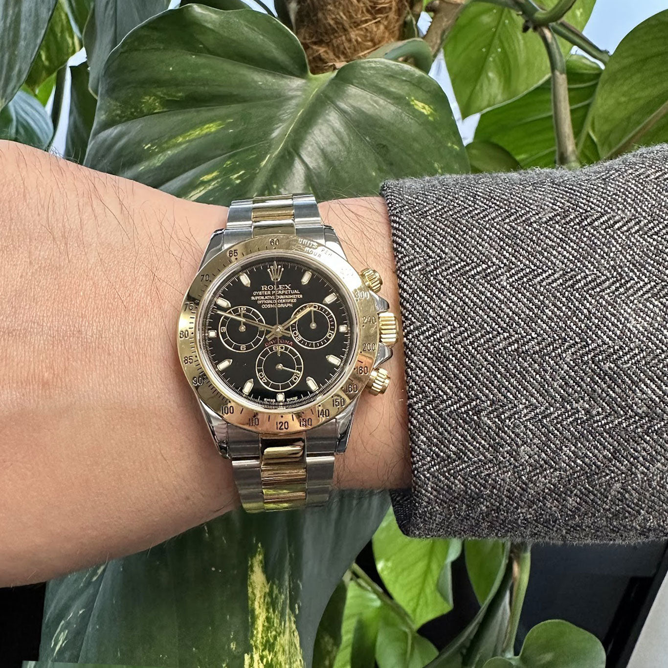 Rolex Daytona Cosmograph Steel & Gold 116523