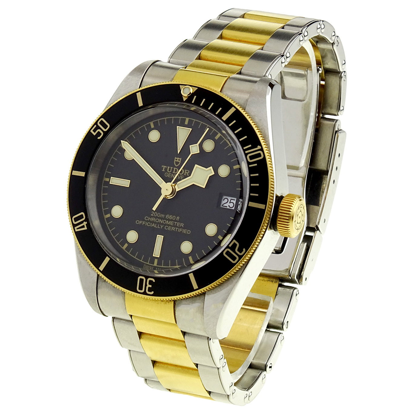 Tudor Black Bay Heritage Steel & Gold 79733N