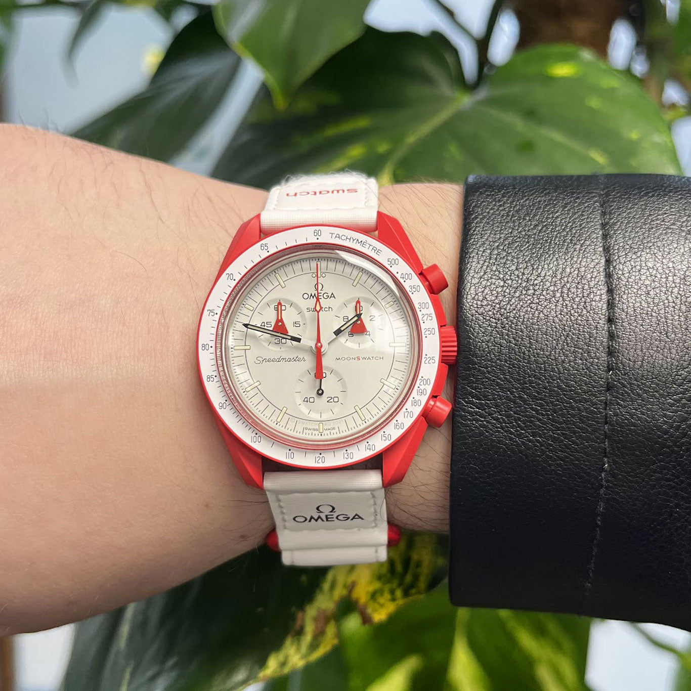 Swatch X Omega Moonswatch Mission To Mars SO33R100