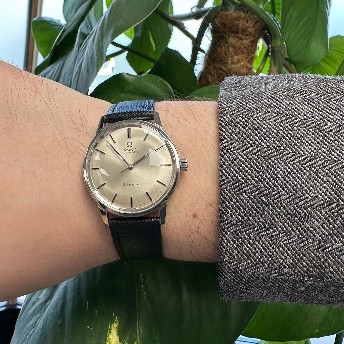 Omega Seamaster Vintage Automatic Wristwatch