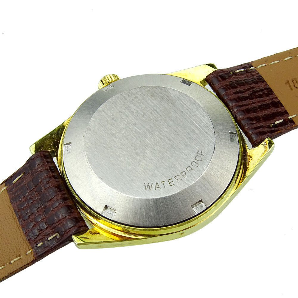 Omega Geneve Vintage Automatic