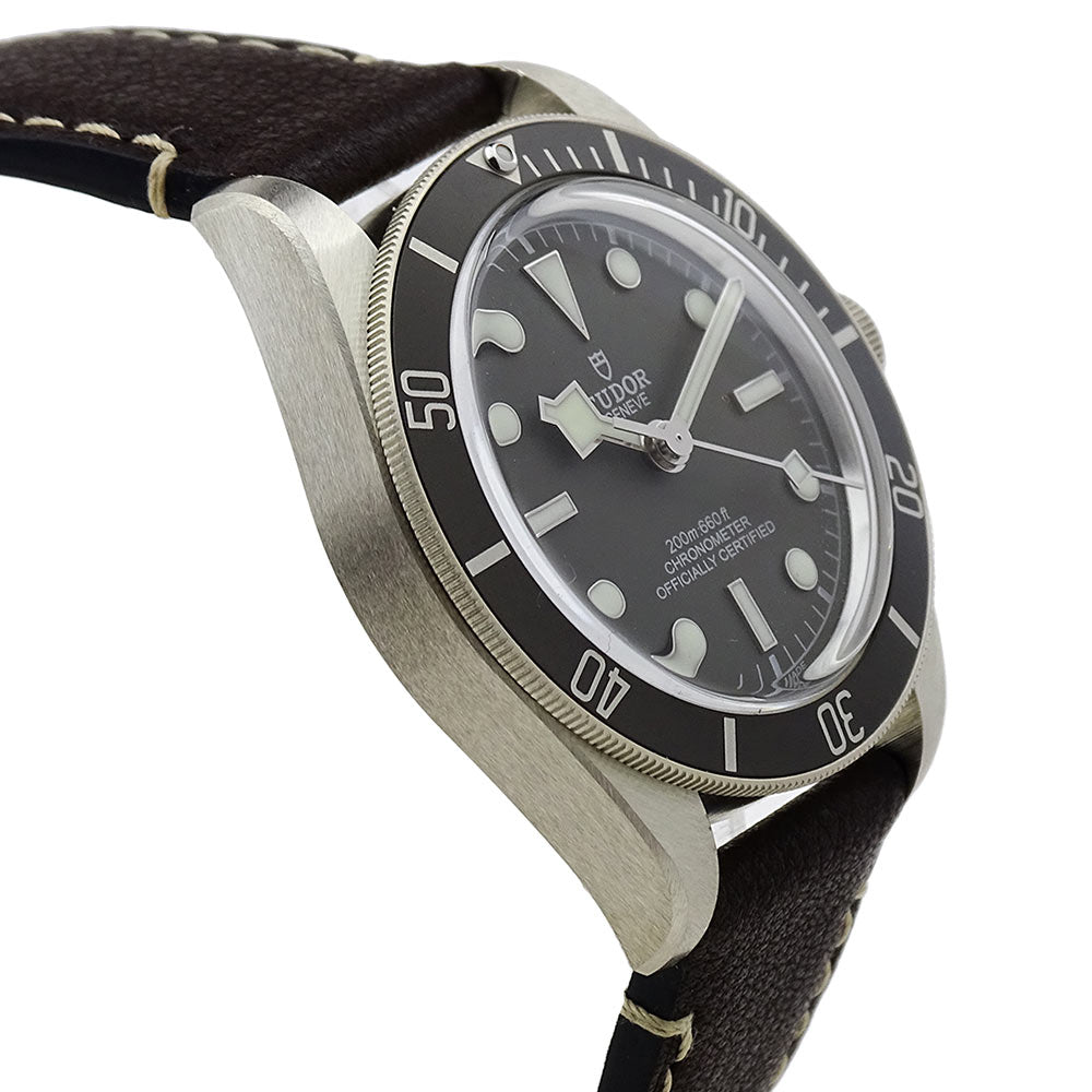 Tudor Black Bay Fifty Eight Silver 79010SG