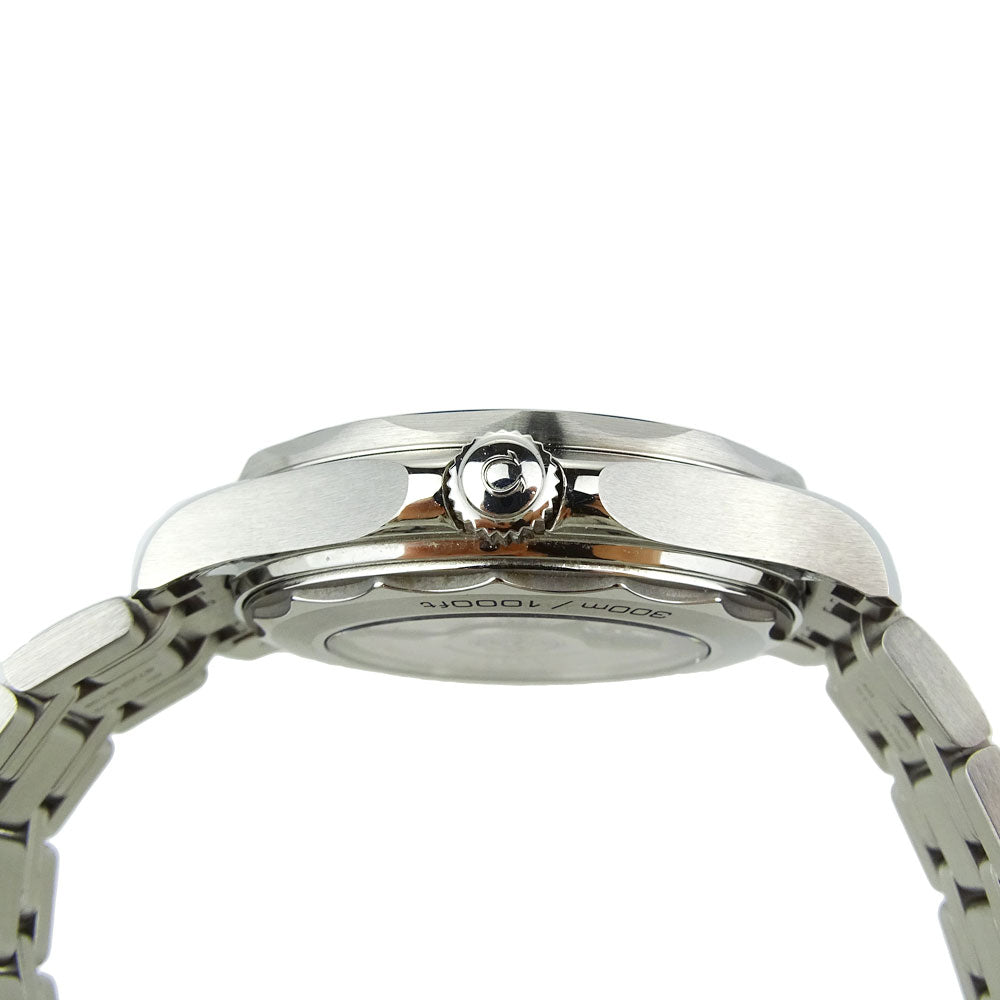 Omega Seamaster Diver 300m 210.30.42.20.03.001