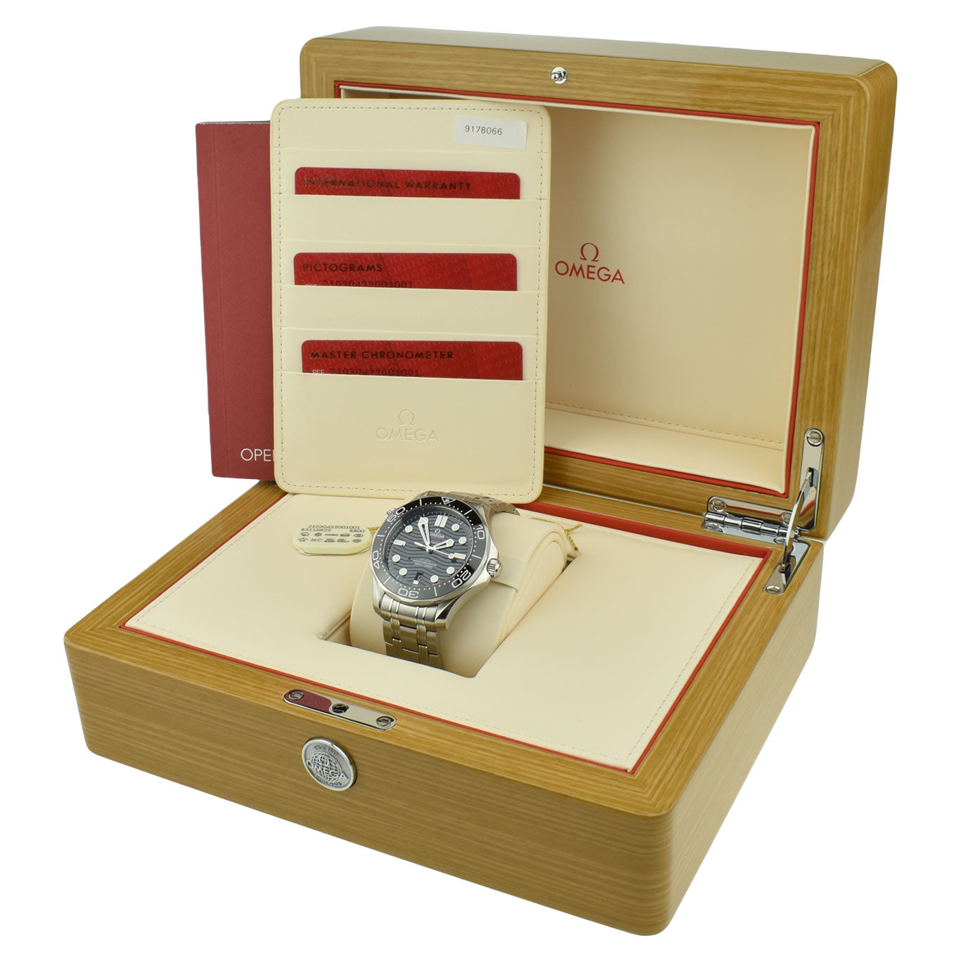Omega Seamaster 300m Diver 210.30.42.20.01.001