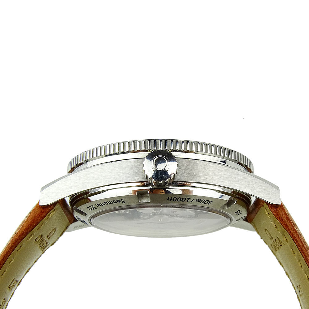 Omega Seamaster 300 Master Co-Axial 233.32.41.21.01.002