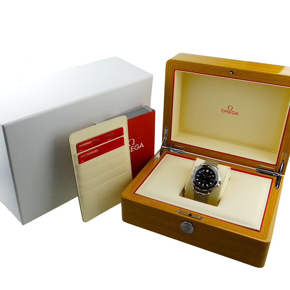 Omega Seamaster Professional 212.30.41.20.01.003