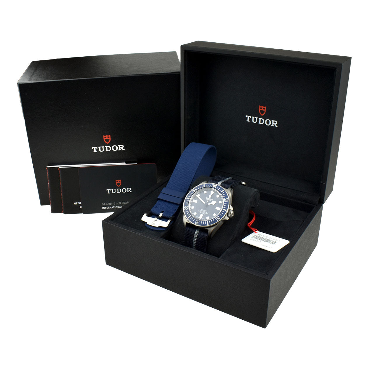 Tudor Pelagos FXD Titanium 25707B