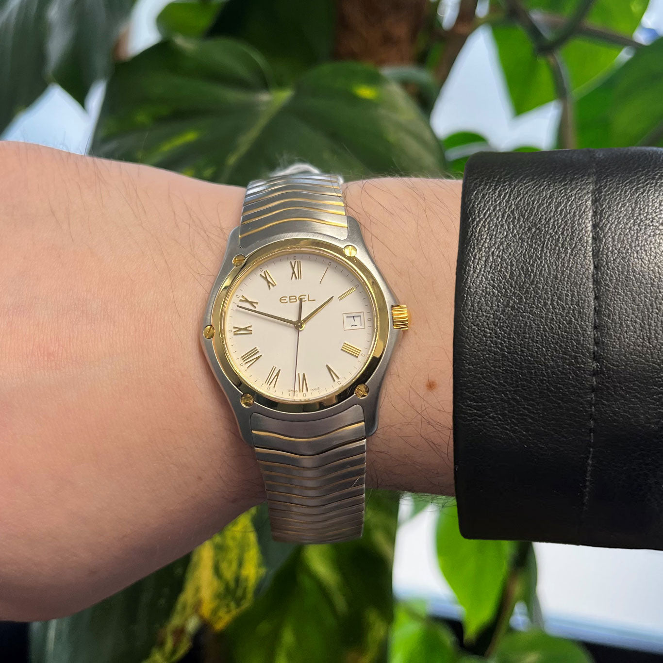 Ebel Classic Wave Stainless Steel &amp; Gold Quartz E1255F41
