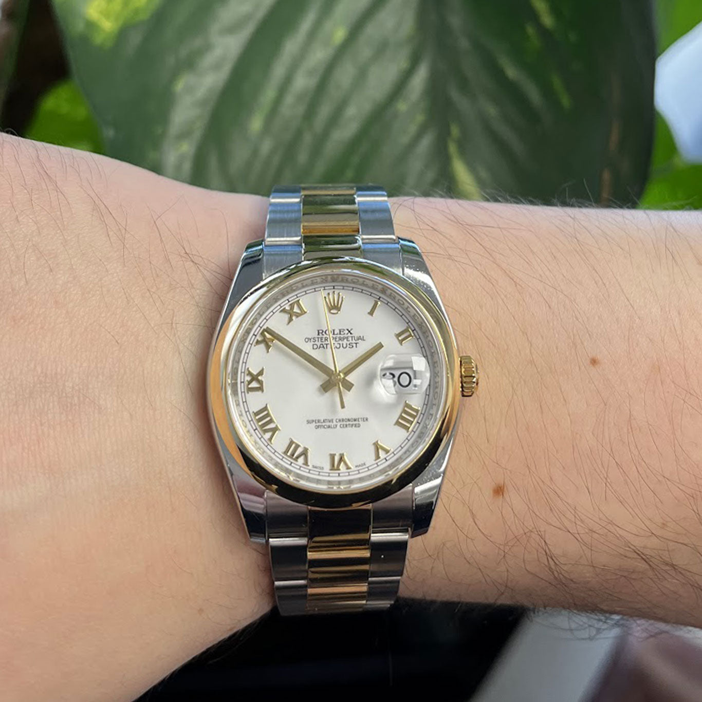 Rolex Datejust 36 Oyster Perpetual Steel &amp; Gold 116203