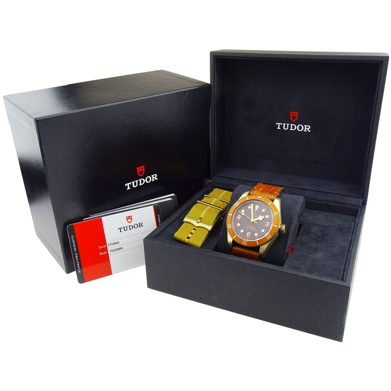 Tudor Heritage Black Bay Bronze 79250BM