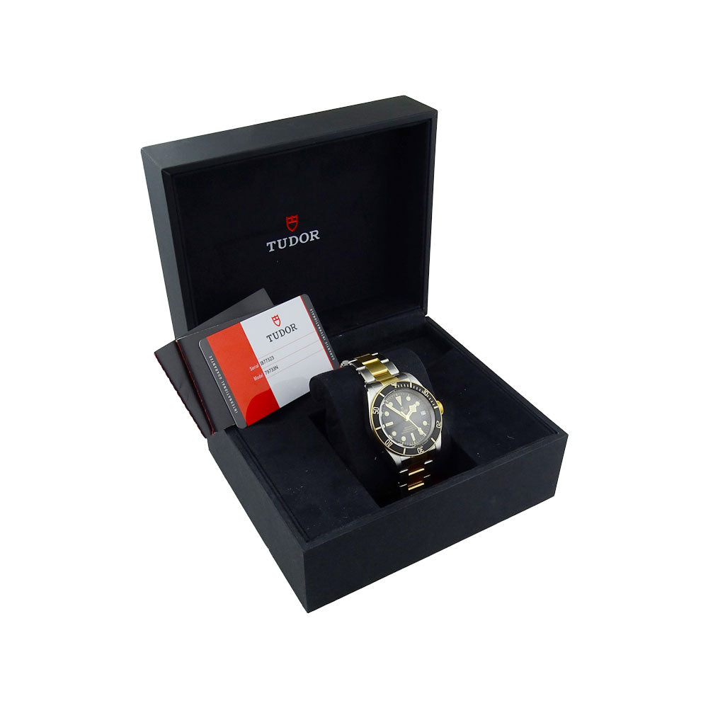 Tudor Black Bay Heritage Steel &amp; Gold 79733N