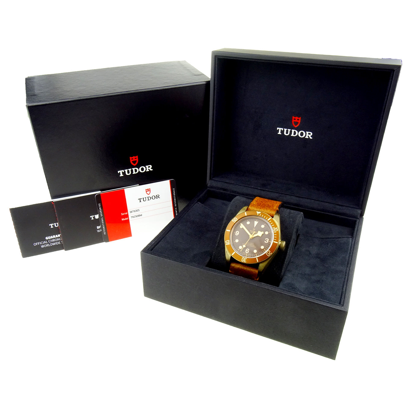 Tudor Heritage Black Bay Bronze 79250BM