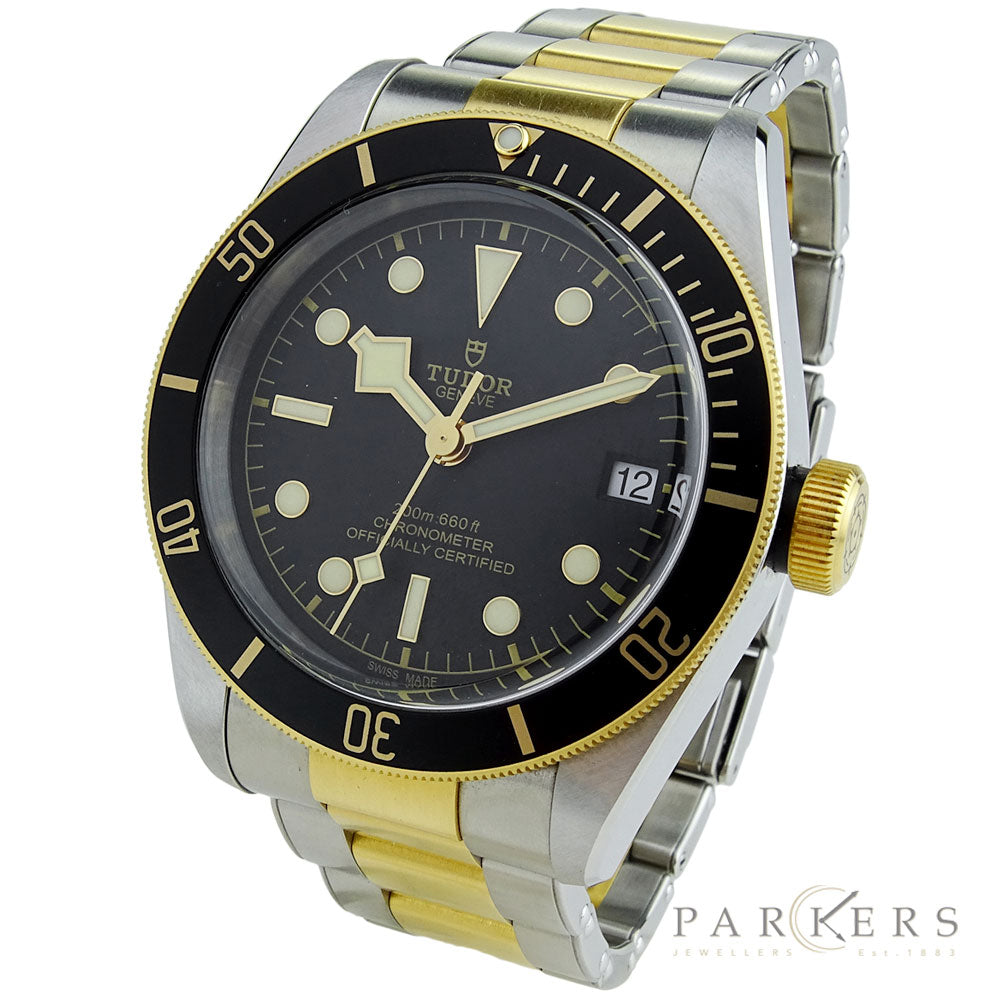Tudor Black Bay Heritage Steel &amp; Gold 79733N
