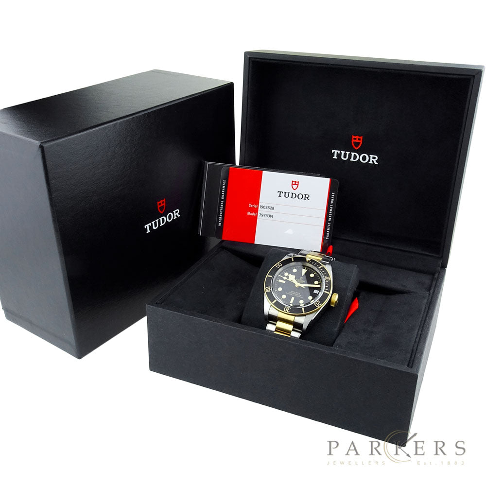 Tudor Black Bay Heritage Steel &amp; Gold 79733N