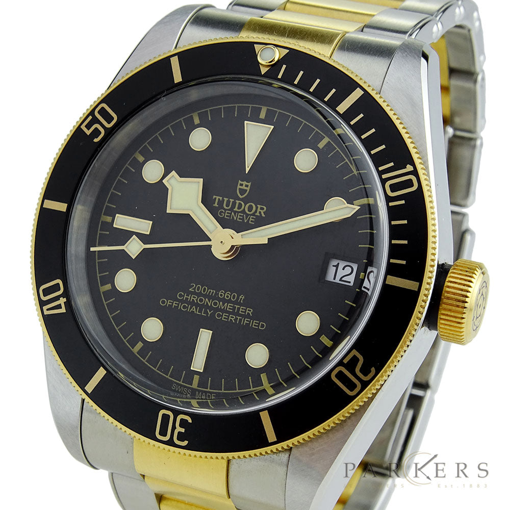 Tudor Black Bay Heritage Steel &amp; Gold 79733N