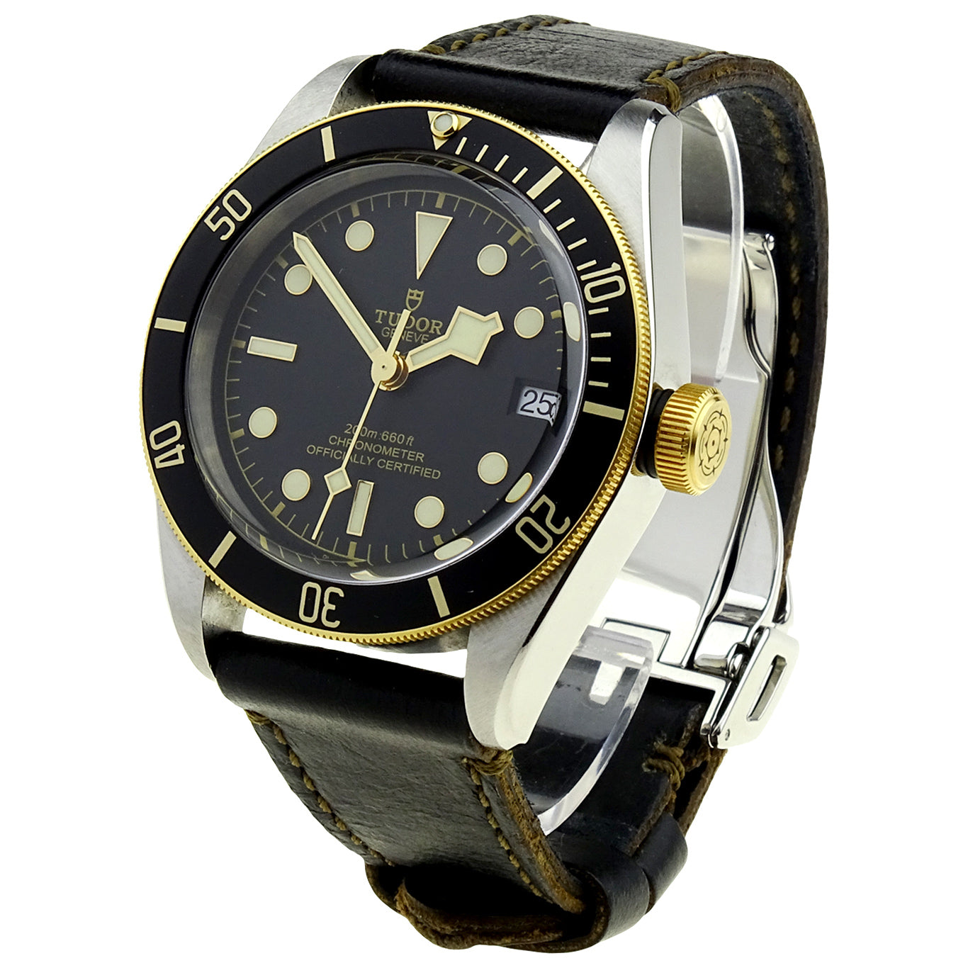 Tudor Black Bay Heritage Steel &amp; Gold 79733N