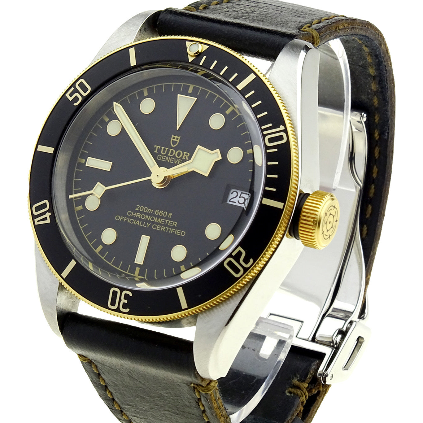 Tudor Black Bay Heritage Steel &amp; Gold 79733N