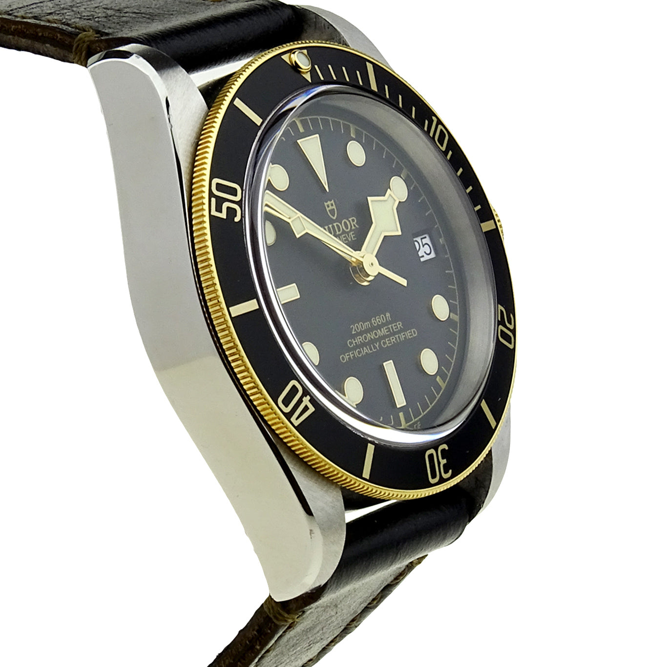 Tudor Black Bay Heritage Steel &amp; Gold 79733N