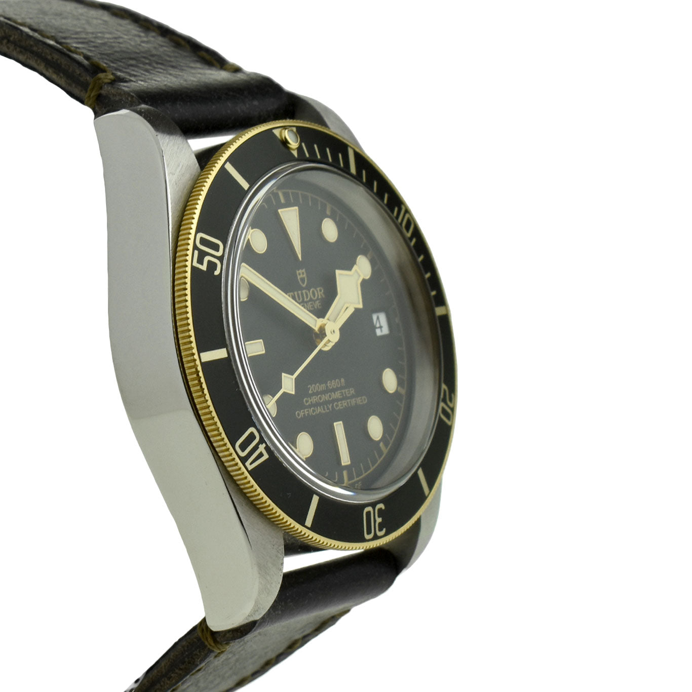 Tudor Black Bay Heritage Steel &amp; Gold 79733N