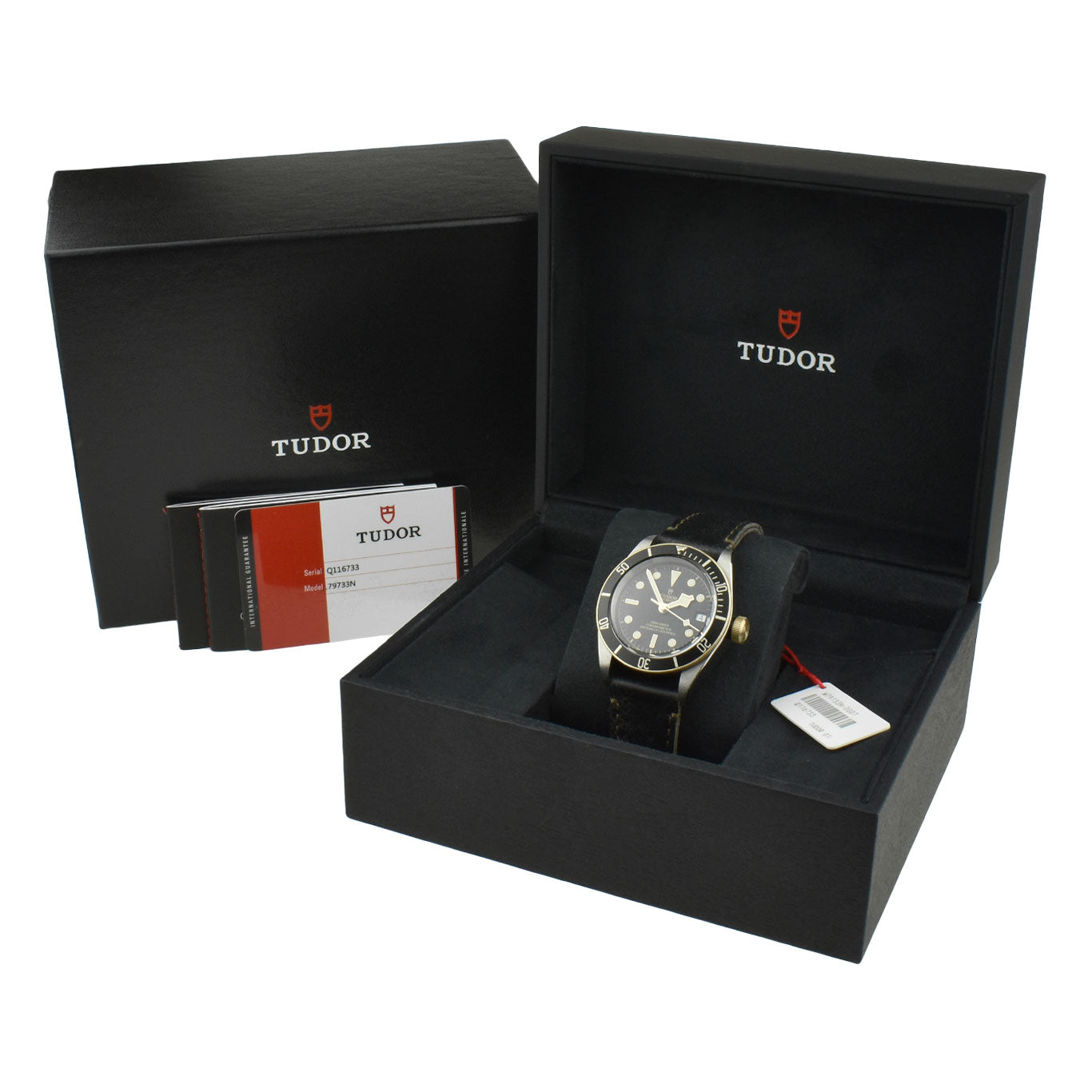 Tudor Black Bay Heritage Steel &amp; Gold 79733N