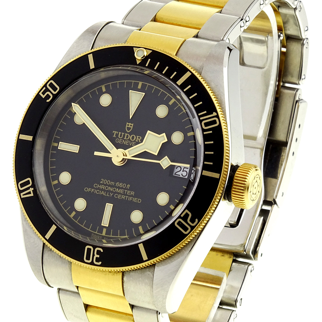 Tudor Black Bay Heritage Steel &amp; Gold 79733N
