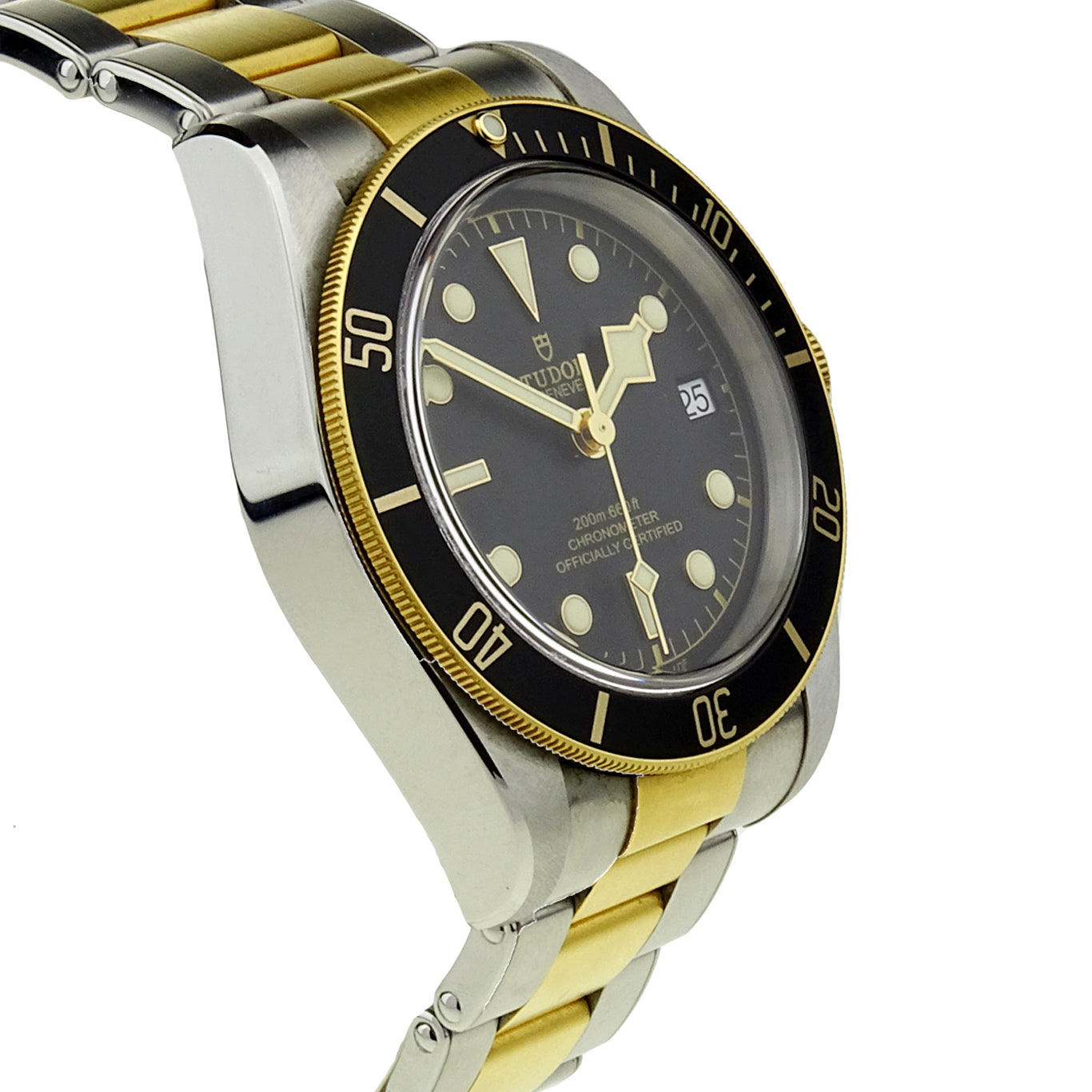 Tudor Black Bay Heritage Steel &amp; Gold 79733N